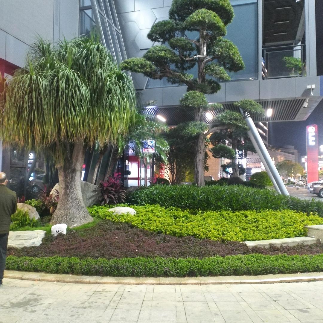 心如直水
