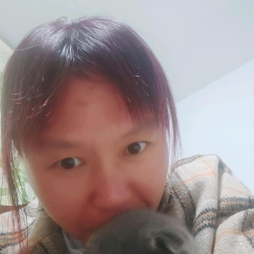 封心锁爱