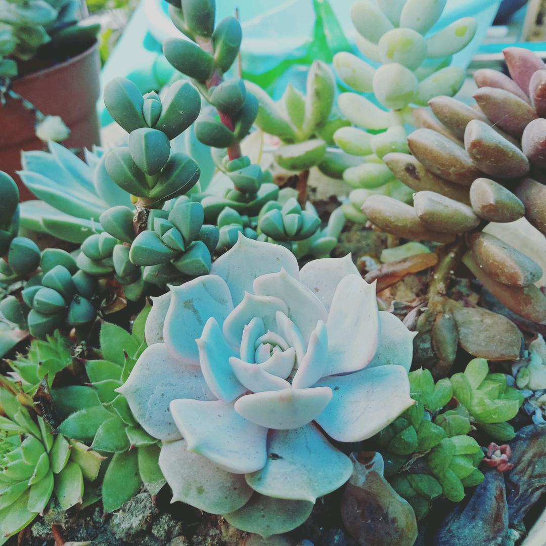一切看淡