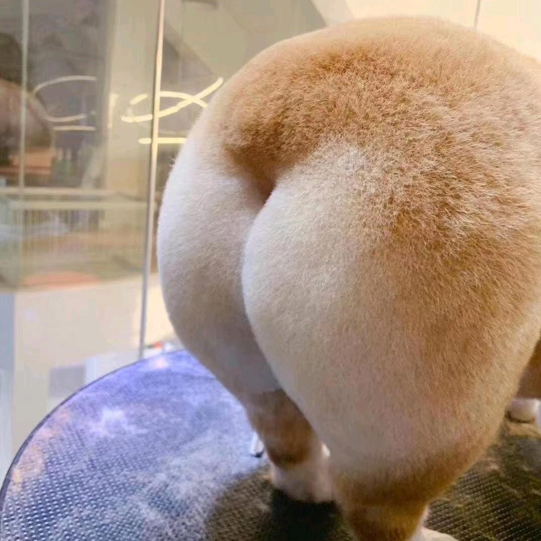 不倒翁健身大华店白银教练