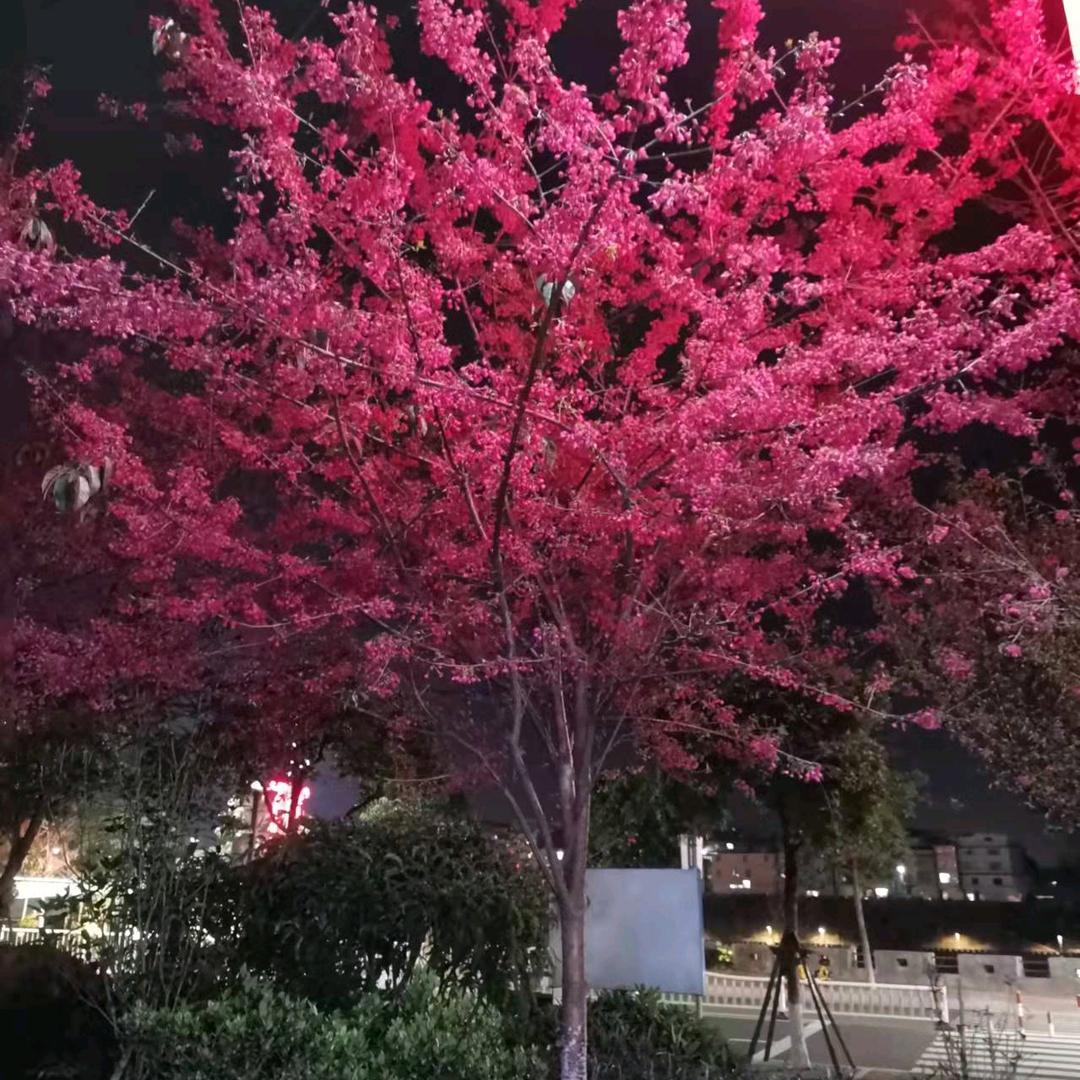 幸福安康，