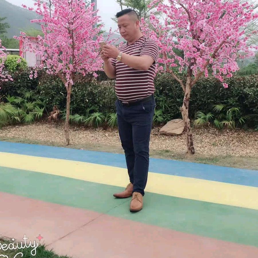 麦克风（咪芯）