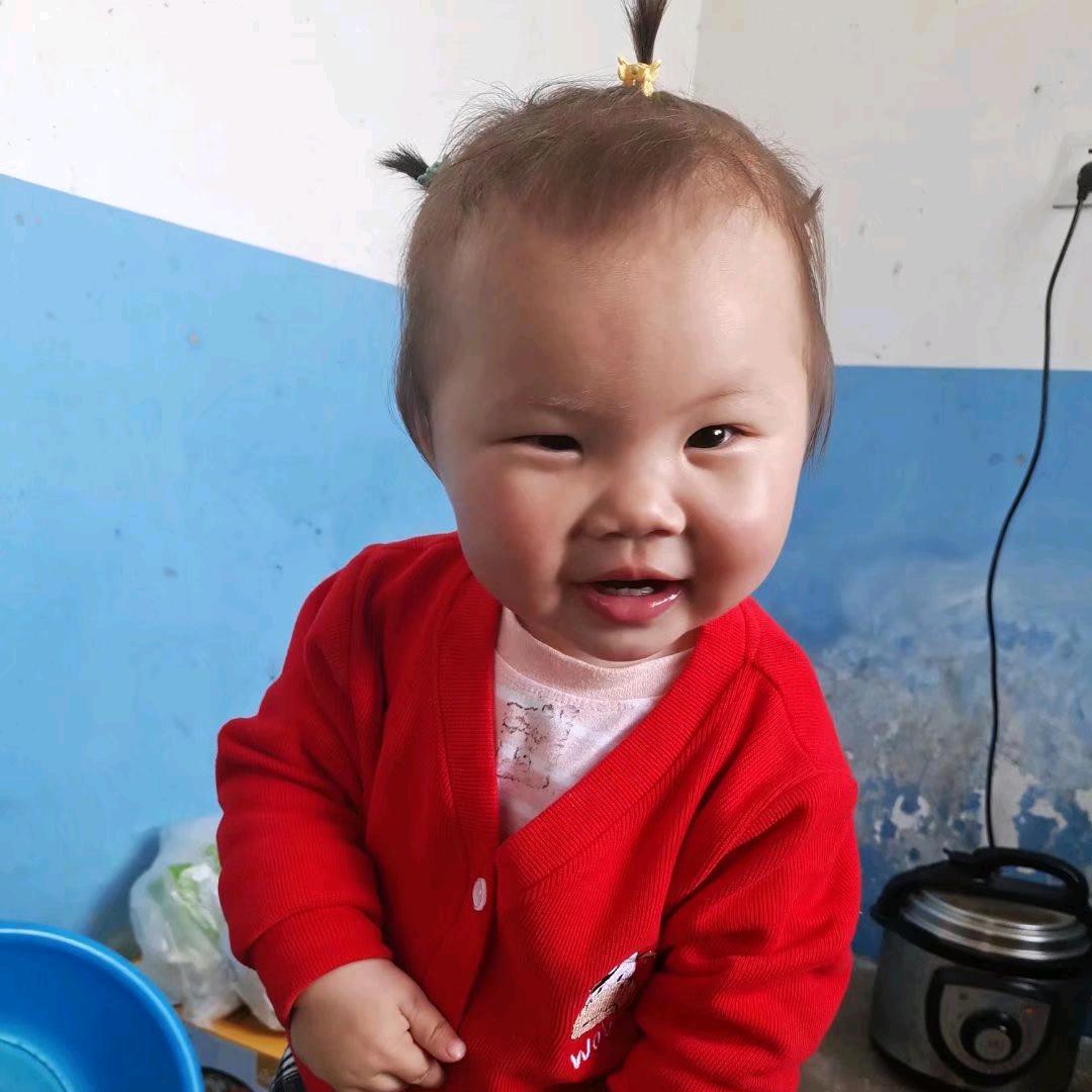 小仙女没李