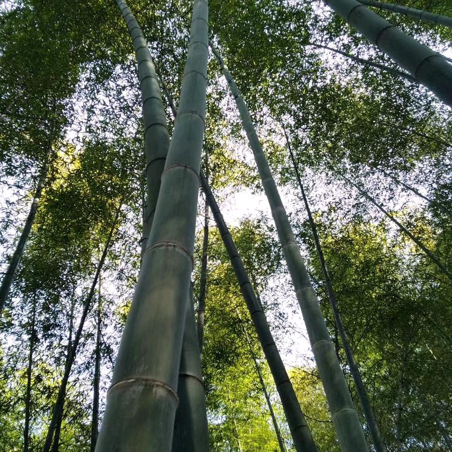 ，波汶管，土工材料供应商
