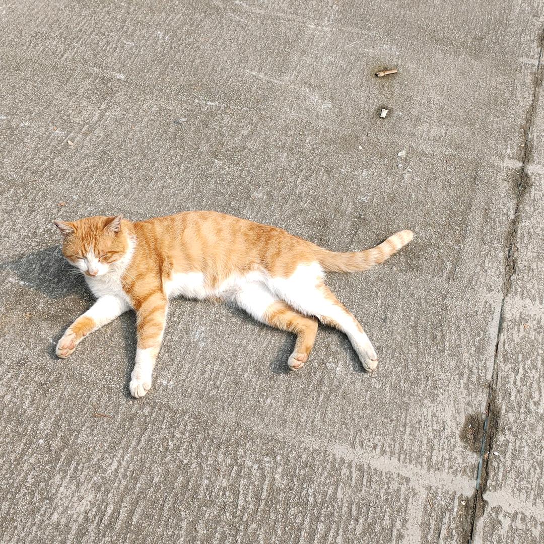 农电工小李