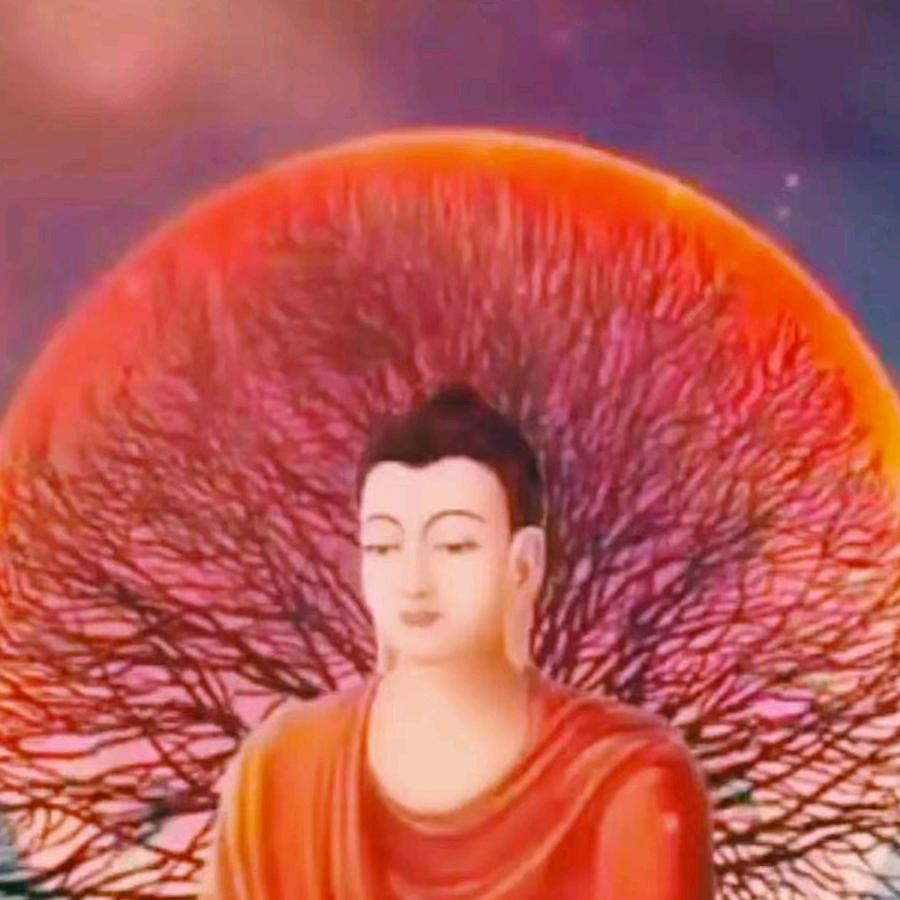 佛心❤️专业土豆经济人