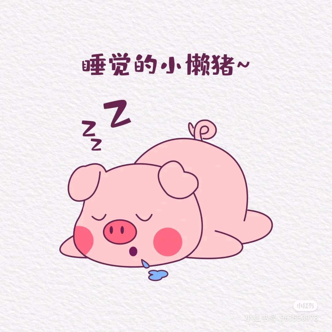 小😘懒猪