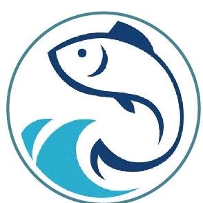 海之fresh