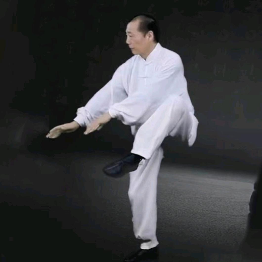 太极之奇