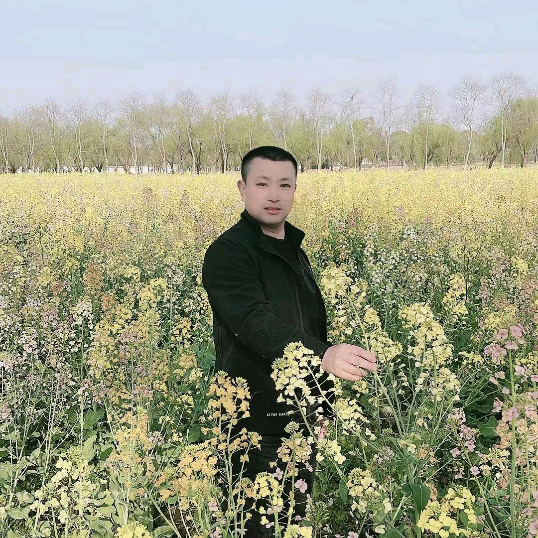 何大大