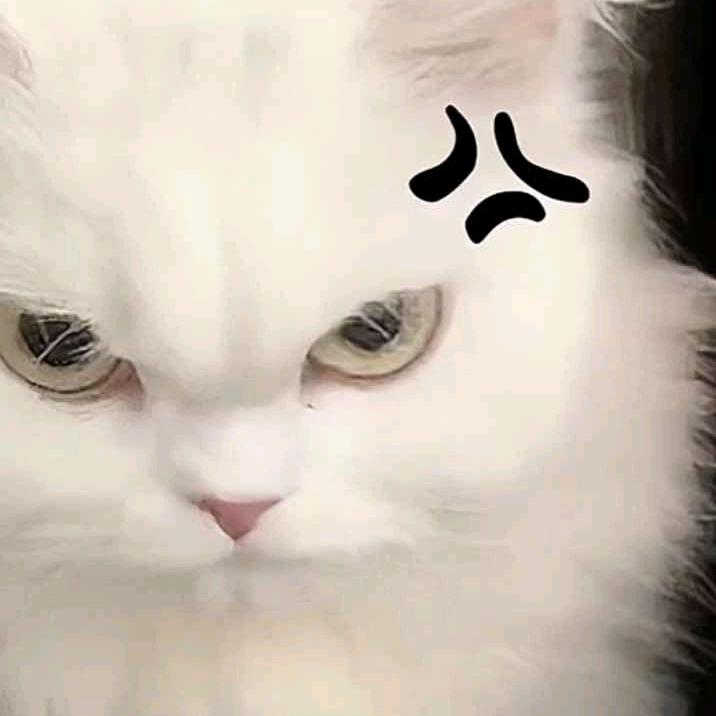 柿柿难liao