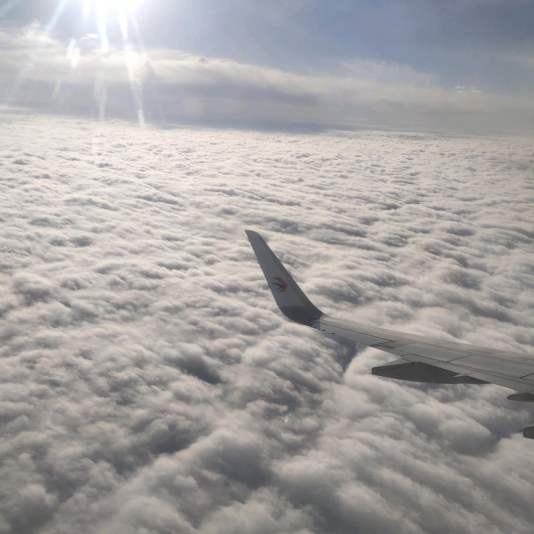 ᝰꫛ浪子ಇ᭄佛心