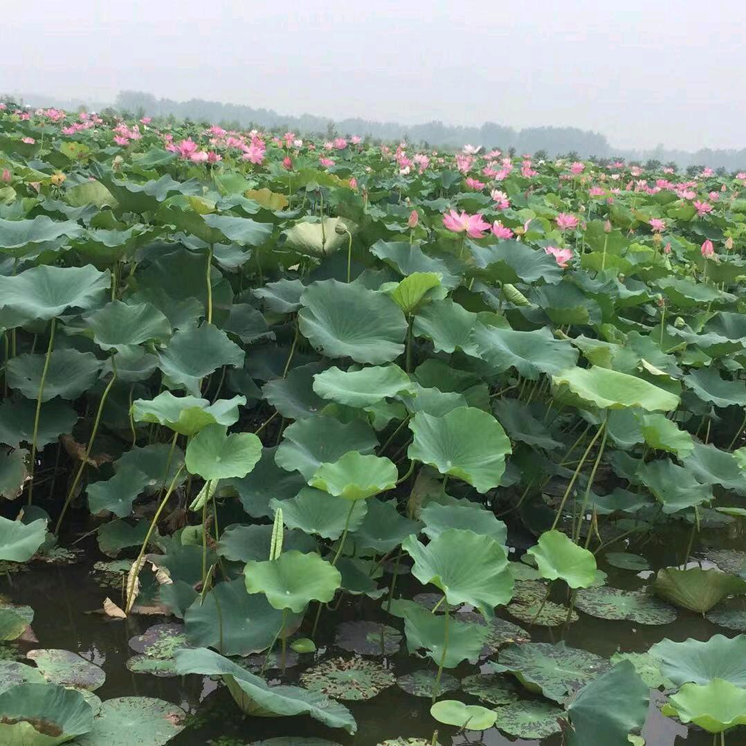 🧡ྀི💛ྀི❤️ྀི梦换情缘