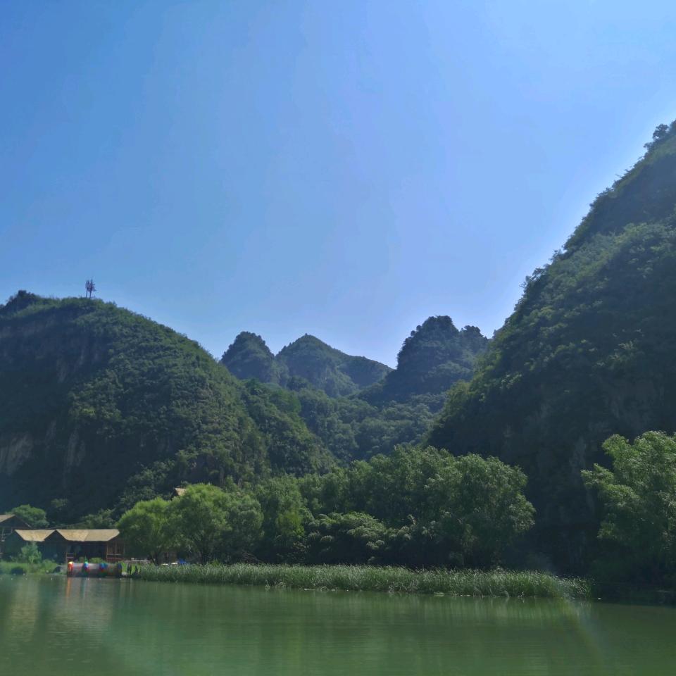 听风的蝉