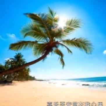 平安喜乐365