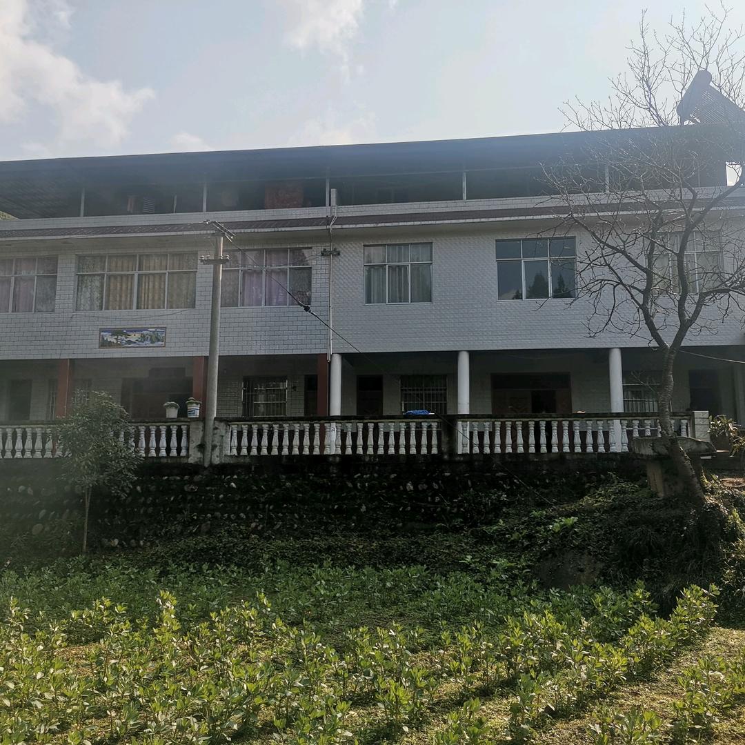 四海为家