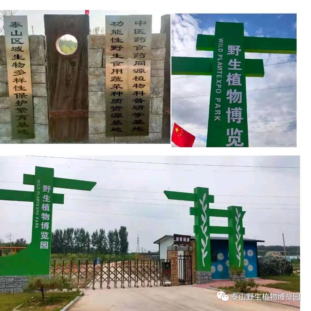 野生植物博览园(野菜种子种苗橱窗自助拍)