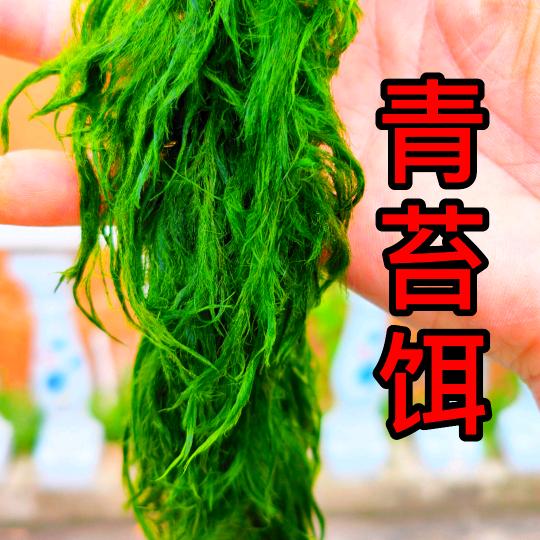 君达溪流钓青苔饵