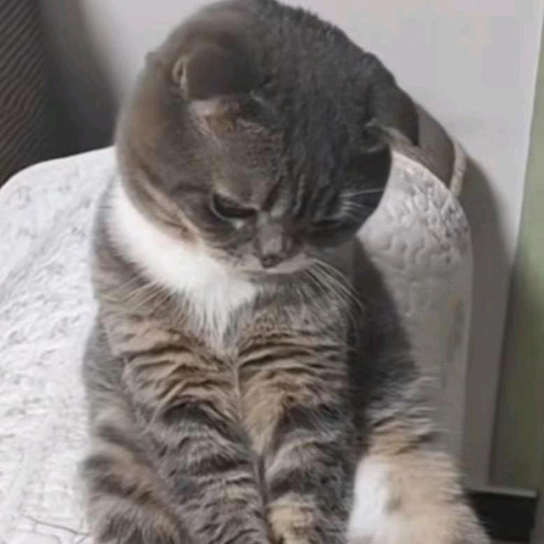 华里有话