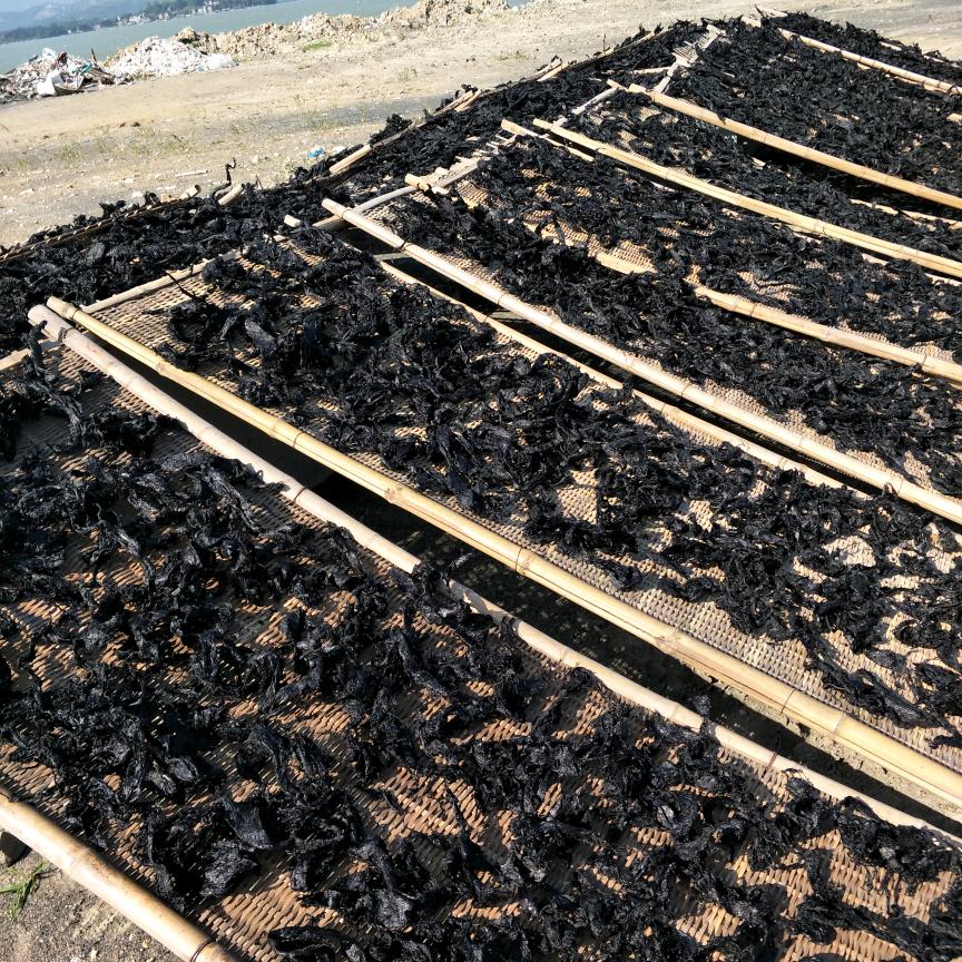 福鼎海产品紫菜