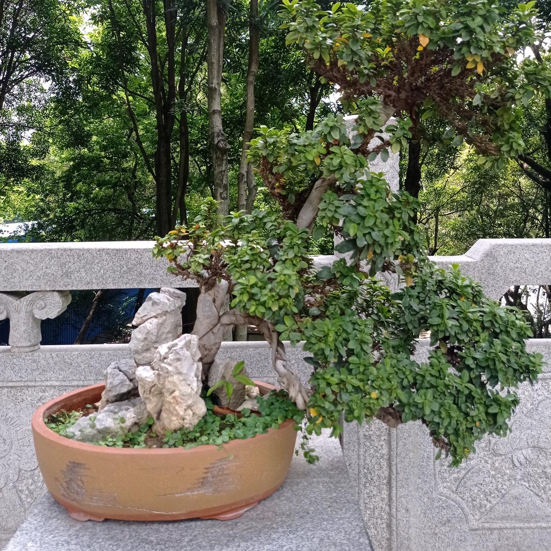 画南宁
