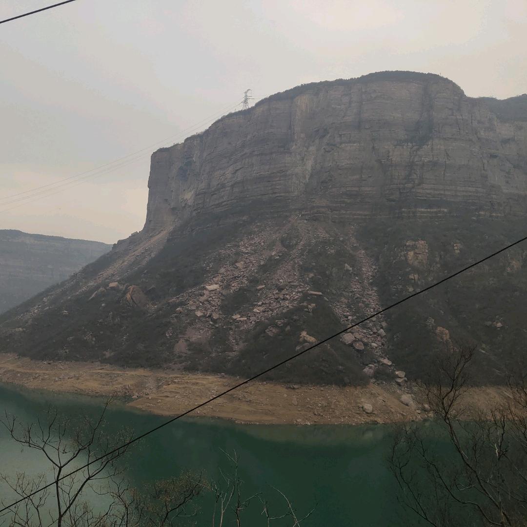 来世的鱼
