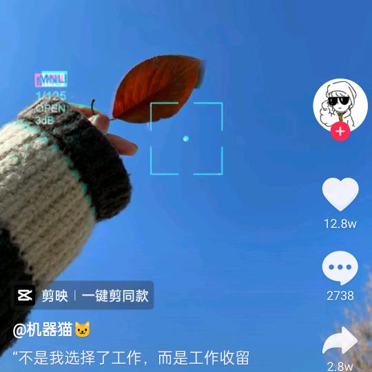 二丫头