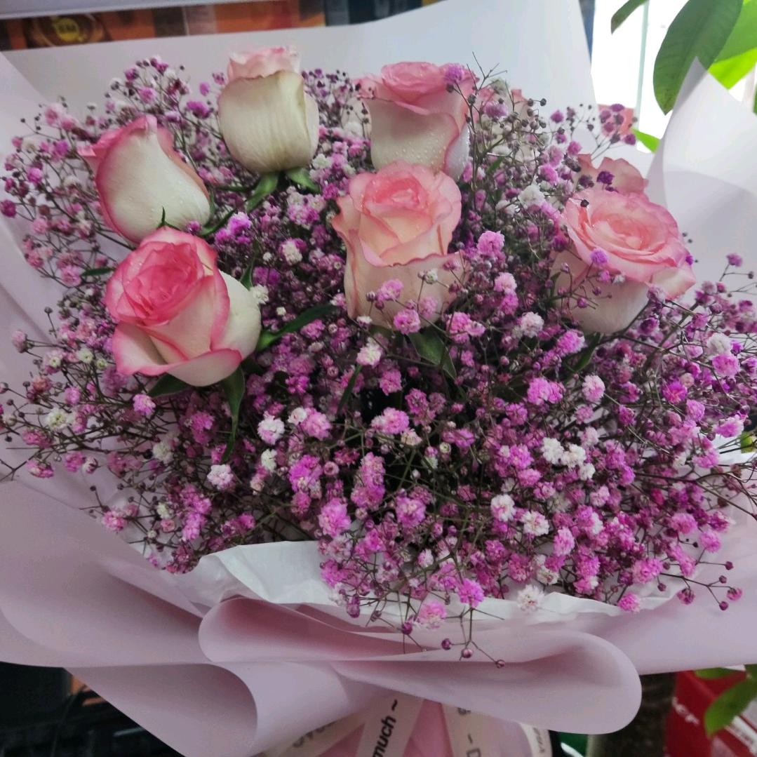 一帘幽梦🌹🌹🌹
