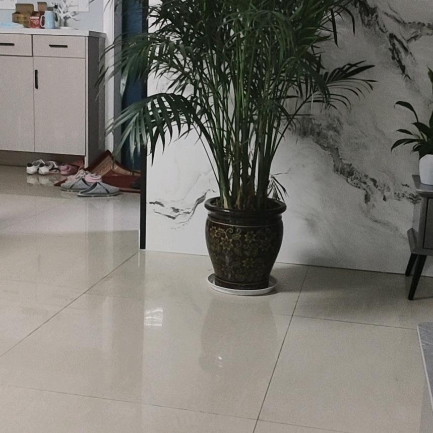 金黄