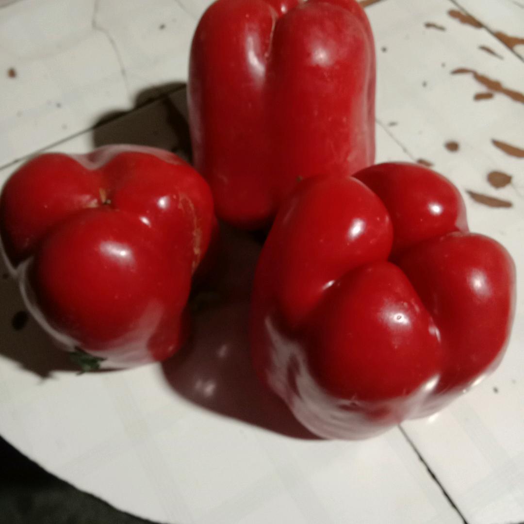 未来更美