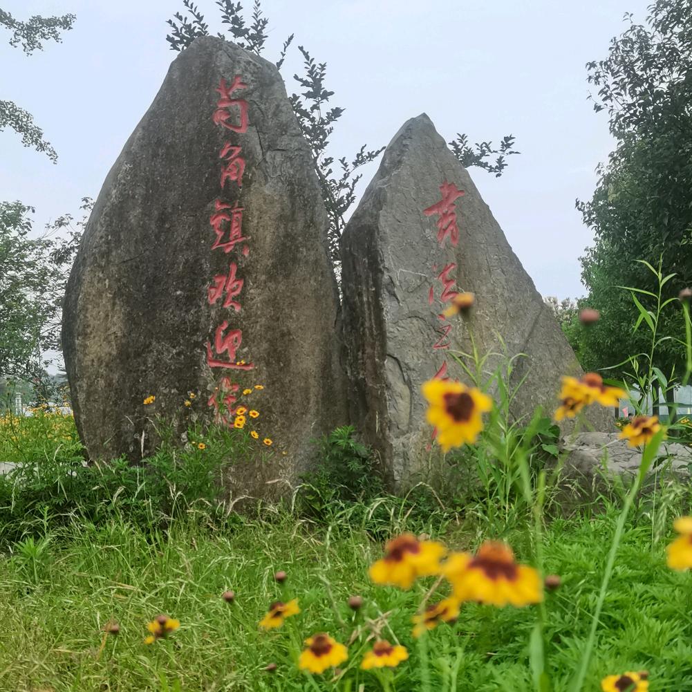 静哥哥