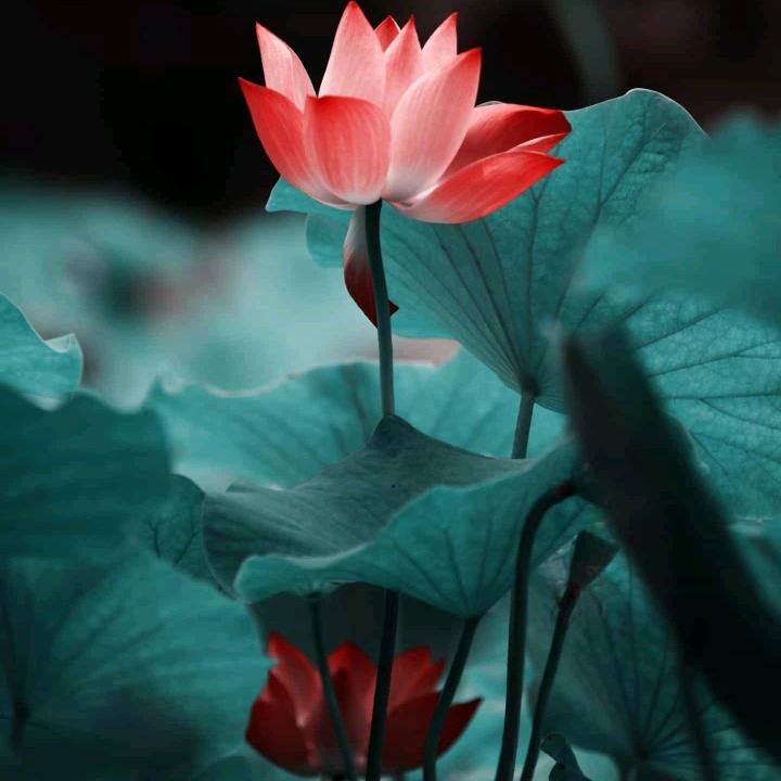 力源~咨询服务