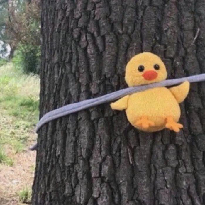 rrrrr