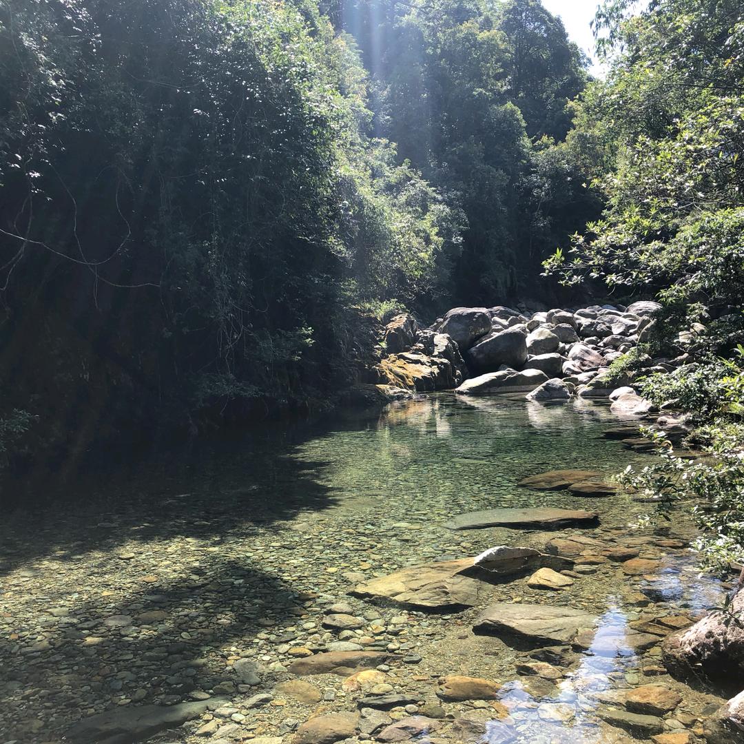 李的开心郭