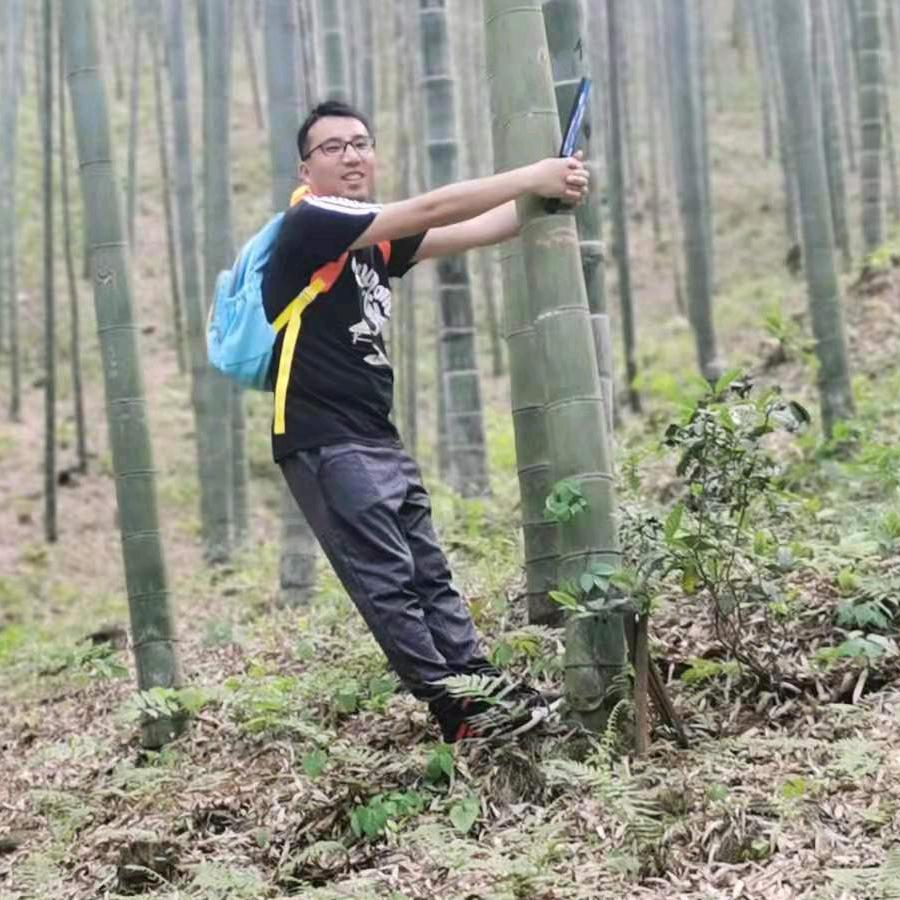 彬爸