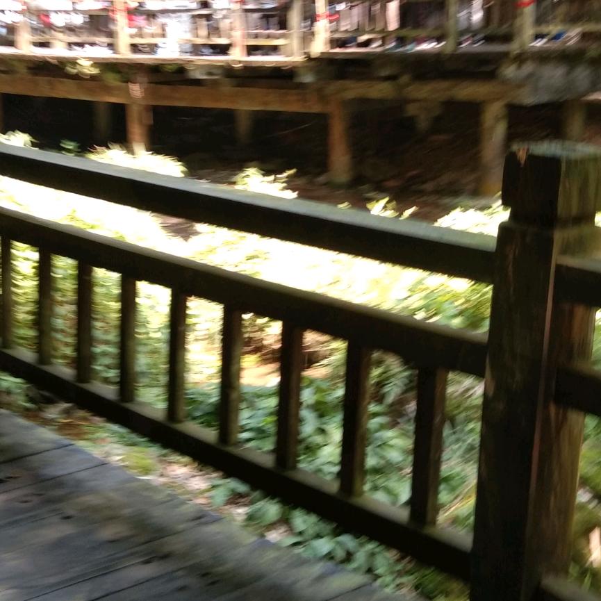 河南首沃