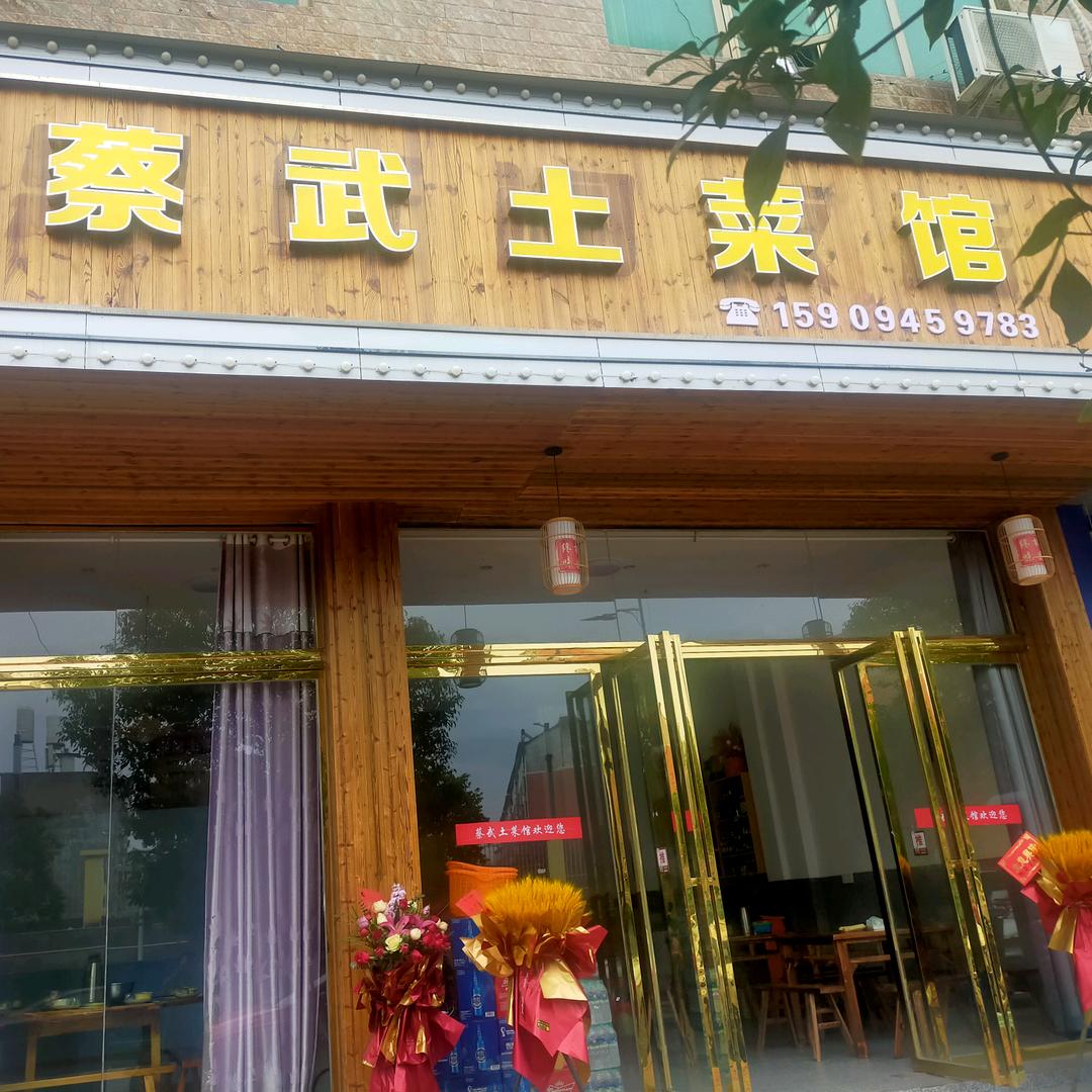 蔡武