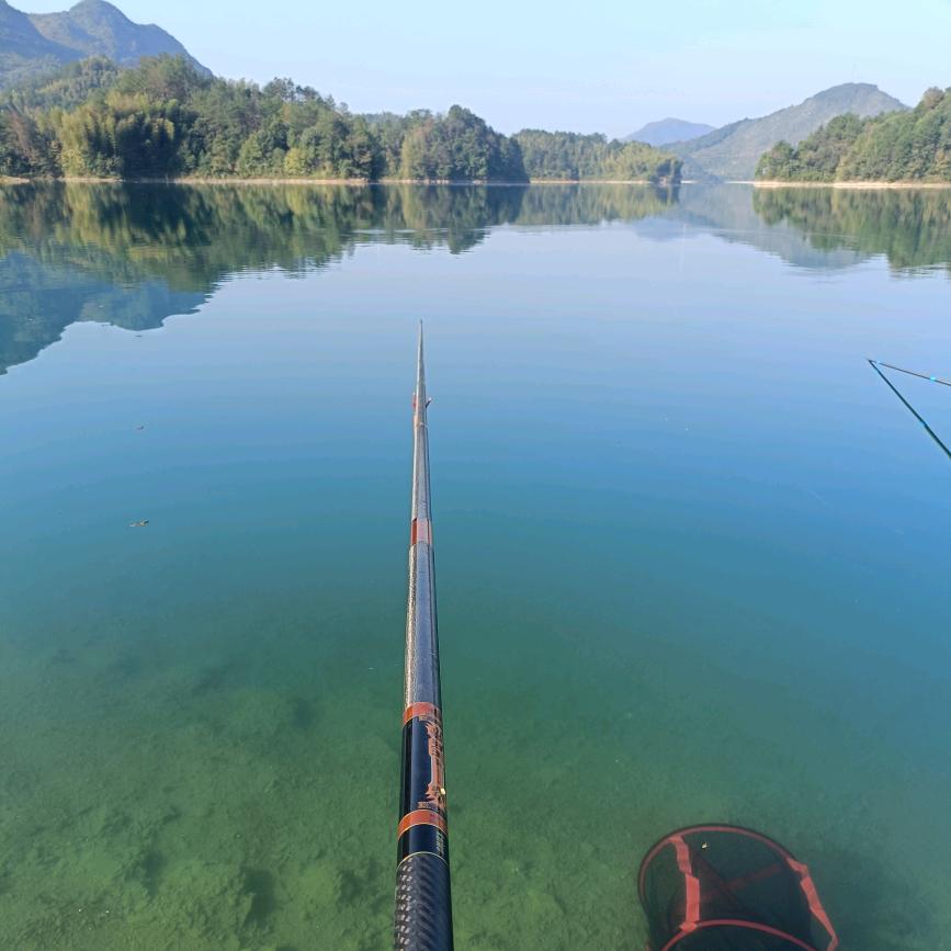 随风🎣