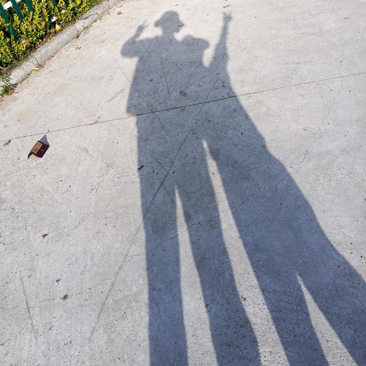 淡淡墨