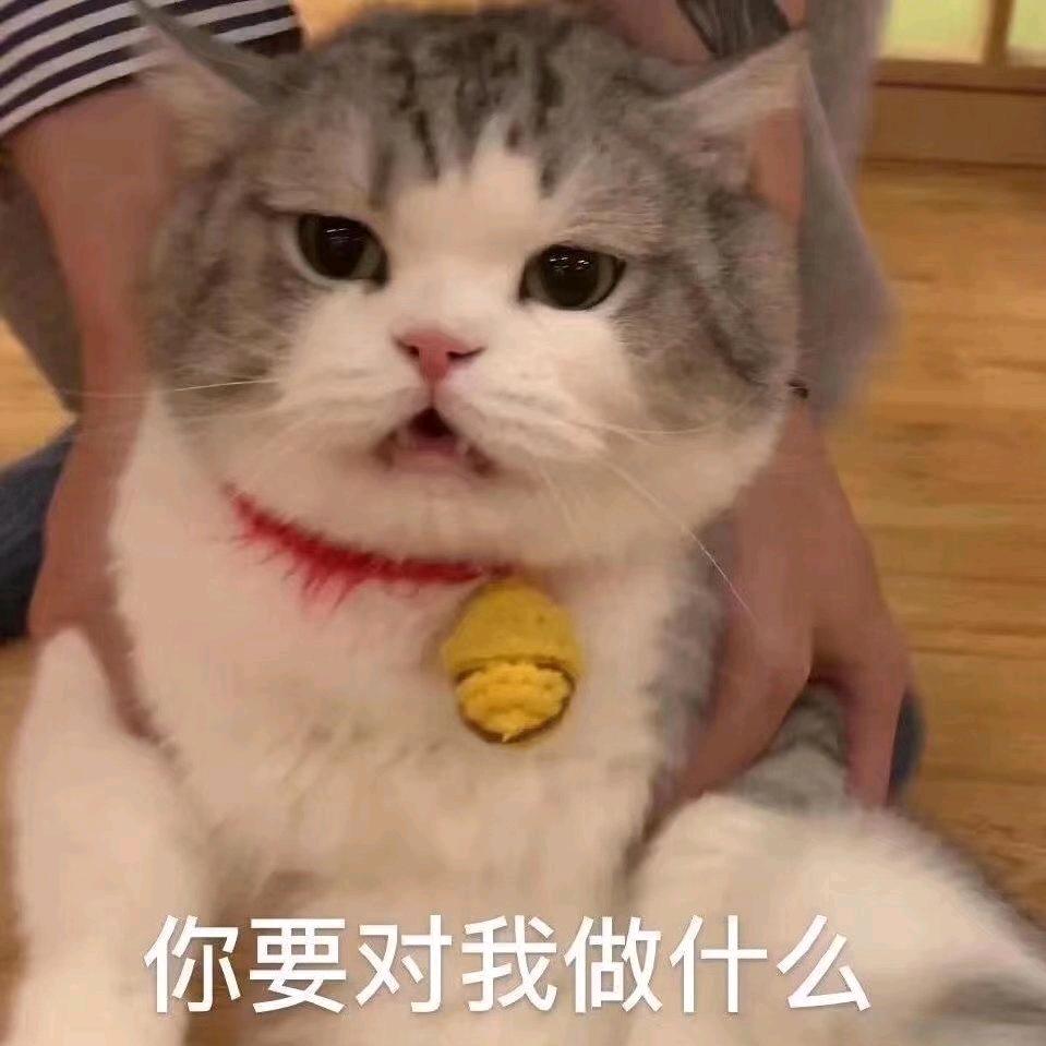 晨大铭（三角洲行动）