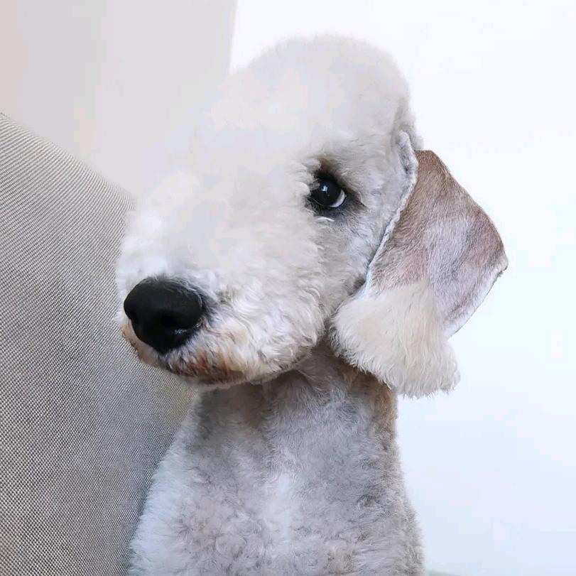 贝贝小家