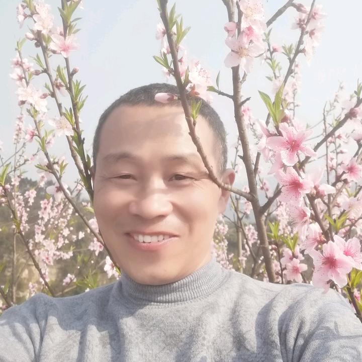 易林养生