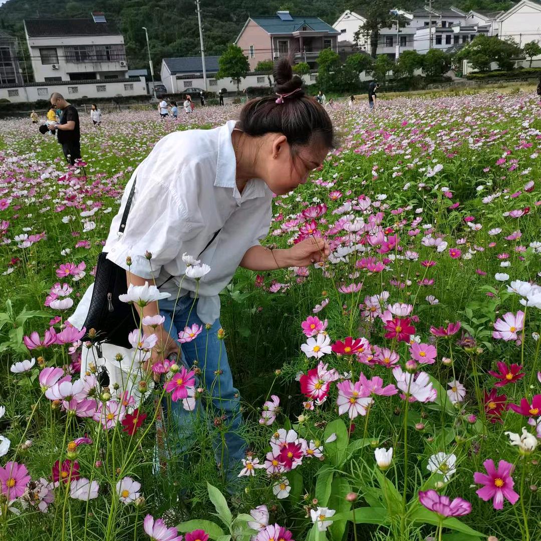 谢谢你的关注！