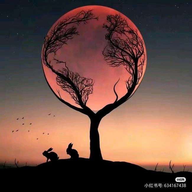 百耀
