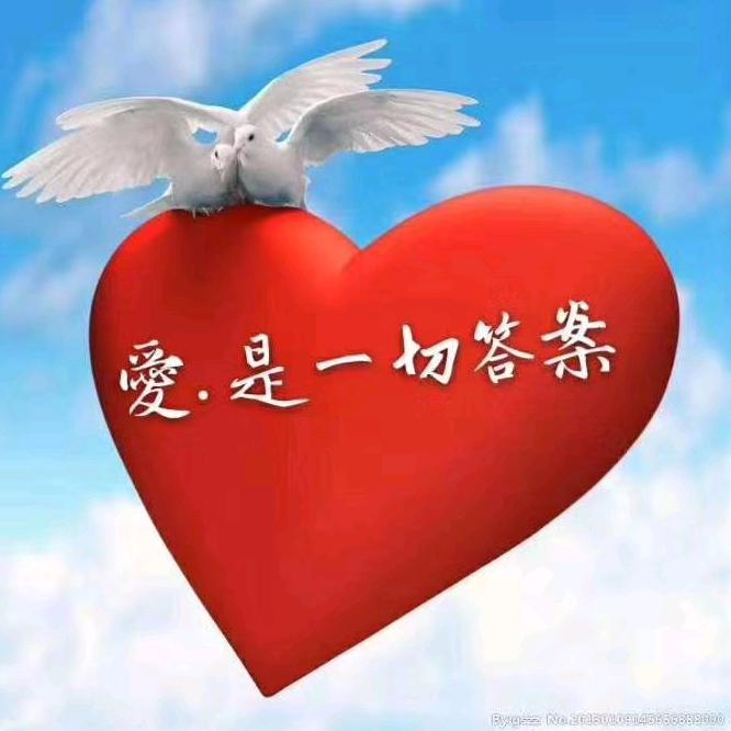 全家福