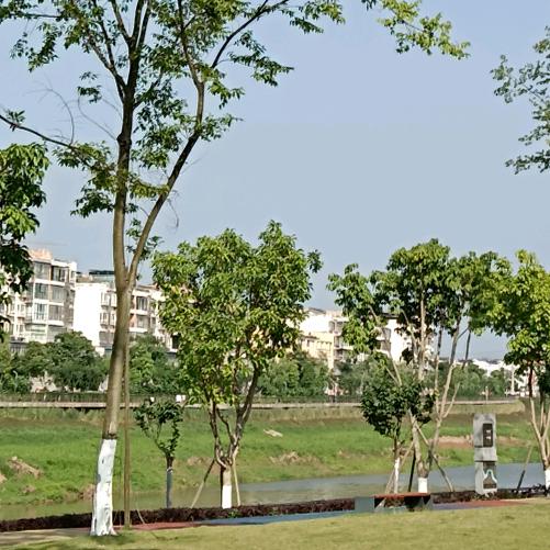 火！！火！！火