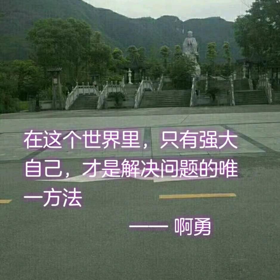 小情哥
