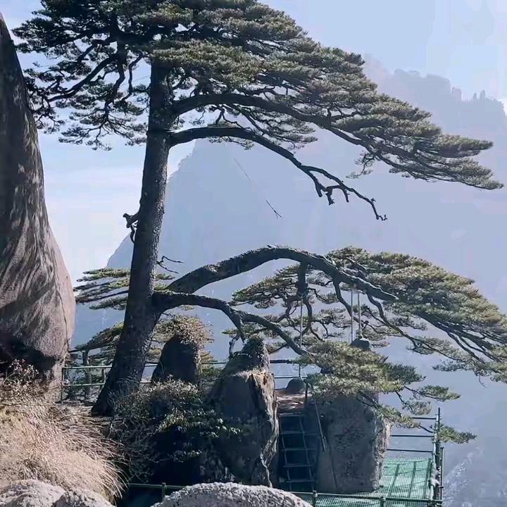 农村小老头