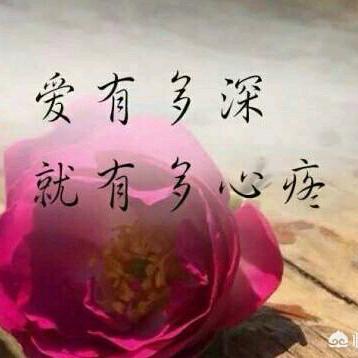 🌺花千树🌴