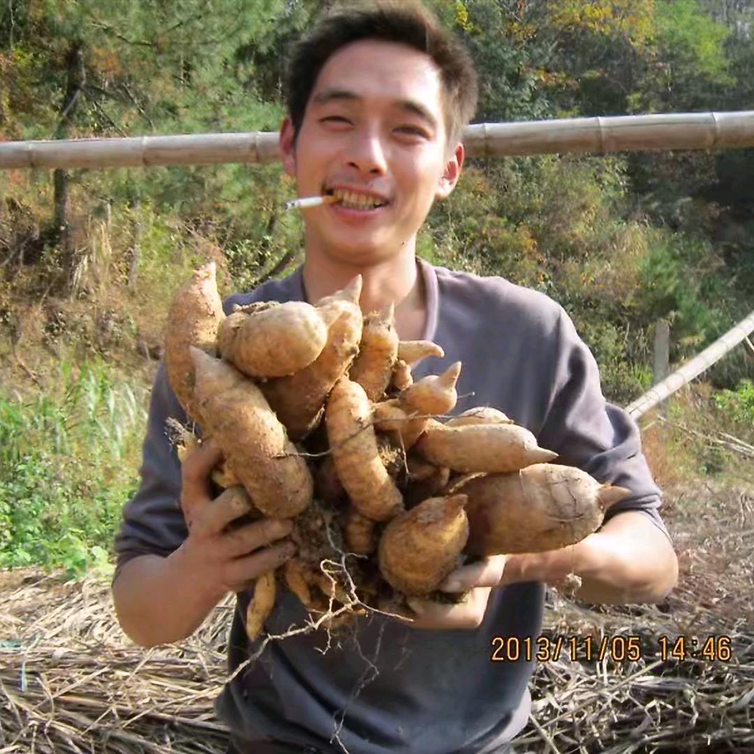 通真食用菌